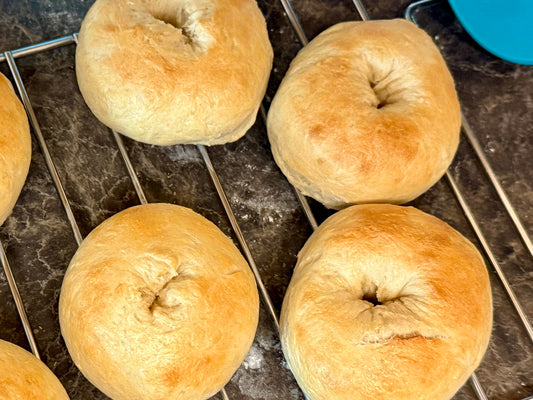 Sourdough Plain Bagels - 3-pack