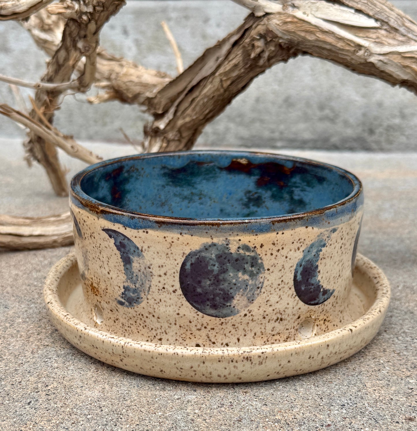 Blue Moon Phases Planter